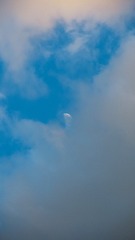 766589FF-AC59-471C-90DF-B19F6BE2534D/L0/001