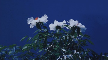 BC6CA4DE-A0D2-4506-B8C5-47CCB63F1A30/L0/001