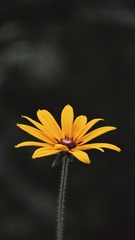 4070A7D6-AC97-4FF6-81D0-EA7861CDBECF/L0/001