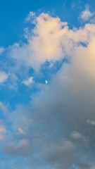 5FD15249-F528-4742-8DC5-FCD93017F2C0/L0/001