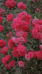846EBCEF-0221-44AB-A5A3-D77CD3B257B0/L0/001