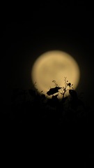 0B5D1E29-6E21-4BD5-BE22-C3945413DCFE/L0/001