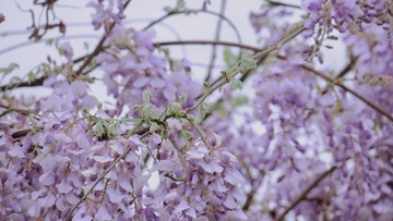 5D77E2BB-323E-40ED-8C9D-521EA2D75C67/L0/001
