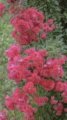 060542E9-46F9-4649-97E1-0B6805662309/L0/001