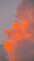 264C3514-D5DE-476F-8455-48CC785D3142/L0/001