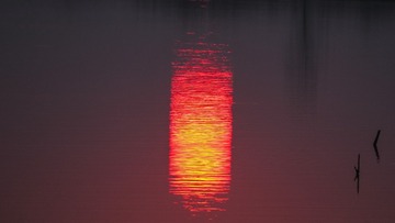 C20C62F9-F104-4C21-9577-298C30E573D8/L0/001