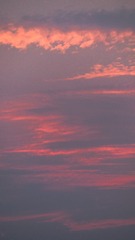 0F2C4554-6485-4261-897F-D26AE68C089B/L0/001
