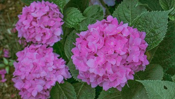 3F55148C-A1EC-4D6E-9547-E006538D840B/L0/001