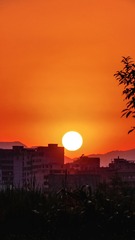 1606305B-C0DB-405E-9F29-526BBFD538D9/L0/001
