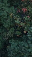 AAF11EFC-5307-4047-A510-5C73E6FB80DF/L0/001