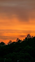 30BC8600-8D0F-438D-9578-8AE71F48AB91/L0/001
