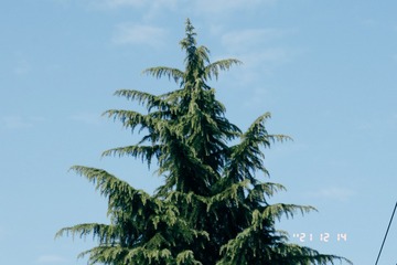 E6F2081E-7357-493F-9439-478C03510BE9/L0/001