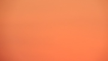 8D96B449-A16A-4AE1-BF4D-0EA5909EAC8D/L0/001
