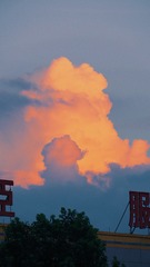 99B2B257-5D5B-4FCE-9973-3C6D4807813E/L0/001