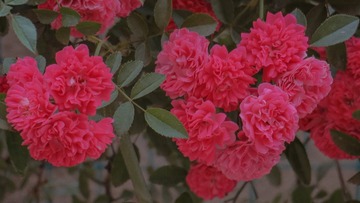 F93324AE-B5AD-44EC-AB07-6A2B59145619/L0/001
