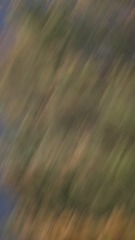 576B823E-1B13-42F8-BF9B-20814512534C/L0/001