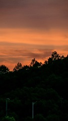 B13C7B15-5851-4CCB-B4B1-5286FD422C2F/L0/001