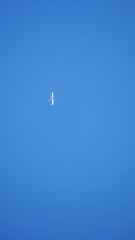 FE551EEB-16EC-4028-97C3-3F0A30A12FC5/L0/001