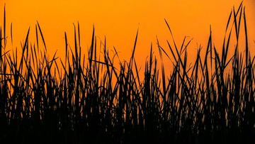 9945D694-AE1C-46D8-BBF4-E11374075FD0/L0/001