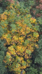 D7C19764-646E-4BD7-8093-E4BDE6341239/L0/001