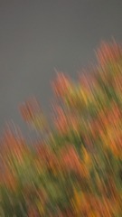 EA83395A-EE43-4B12-8006-CC2D49ECCDB9/L0/001