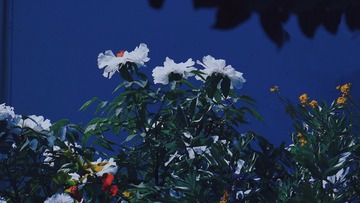 877D085E-6670-434E-AF27-93902DB6F26E/L0/001