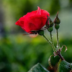 001