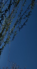 65EB7AE5-4946-49A9-BE98-ED2E33607640/L0/001
