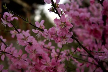 86857A81-C743-45E3-82F4-1DF908C6589A/L0/001