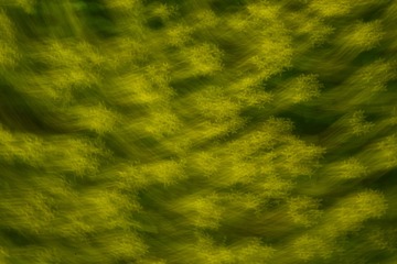 69C40C15-7E56-42A6-B1D6-10E2F6BAE634/L0/001
