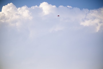 C433062D-6986-444C-9F87-CFADEFCC0647/L0/001