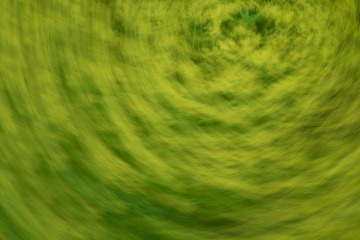 11A4A229-622E-4D81-BB71-8CA6DD4E730E/L0/001