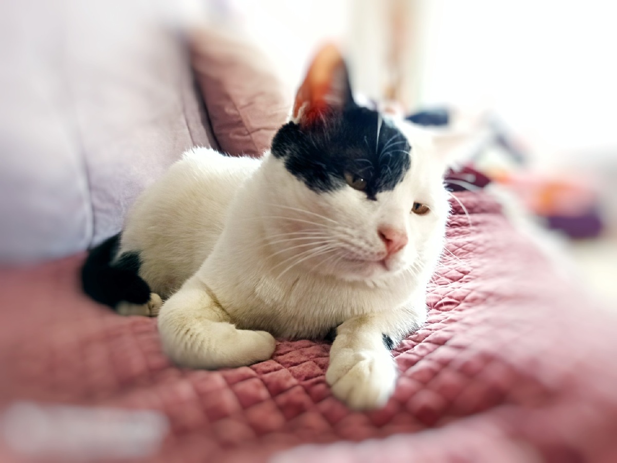 不屑一顾的眼神