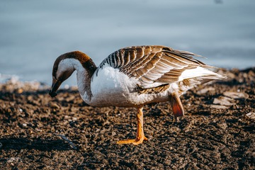 _DSC5865