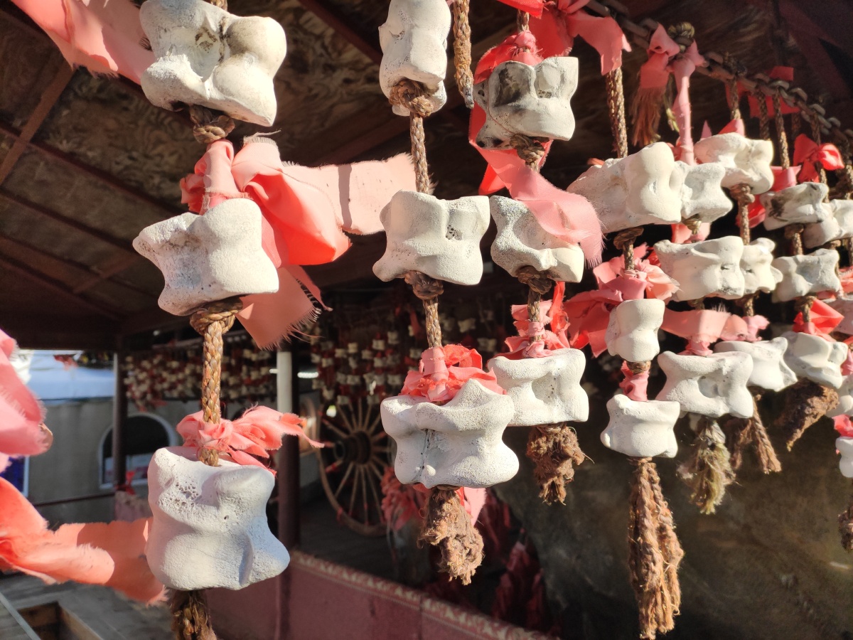 嘎拉哈是一种流传在东北满族妇女和儿童中的传统游戏,因使用"嘎啦哈"