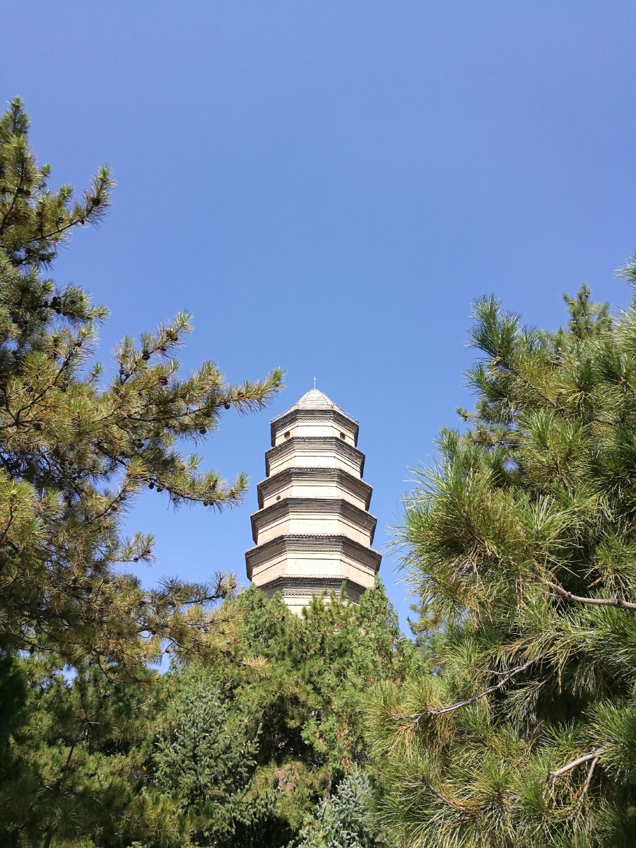 巍巍宝塔山 - 红色革命, 旅行, 手机 - 红蚂蚁