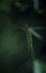 1540597