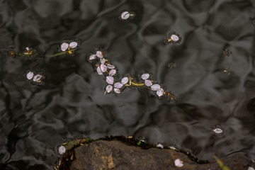 2013719