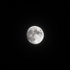 B3D84C4C-5D7D-452C-8E13-8834654E5357/L0/001