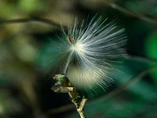 wxid_mhaqjpasufn722_1481454535193_57