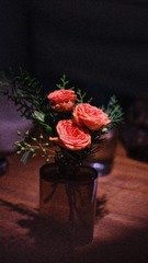 34F88585-01DB-44D4-A386-D1791E359A6B/L0/001