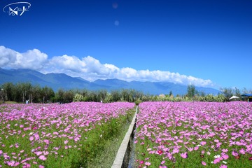 DSC_9791+
