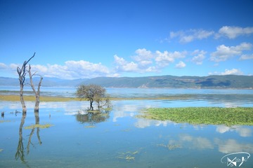 DSC_9831+