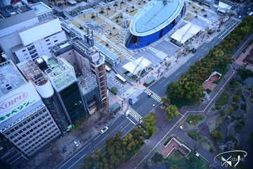 DSC_6770+