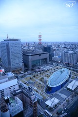 DSC_6785+