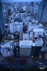 DSC_6784+