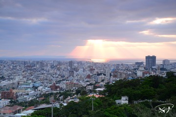 DSC_7304+