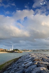 DSC_8183+