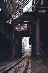 3160026