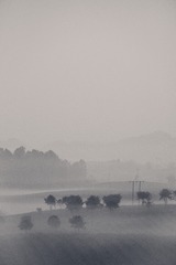 DFA0ED99-3874-4D62-A2E7-33E2D9CBF04D/L0/001